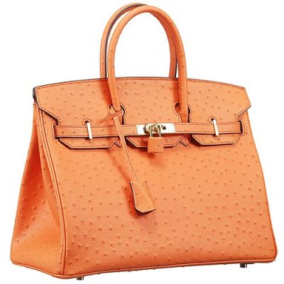 Women's Orange Ostrich Leather Hermes Medium Birkin Handbag Leather Trimming Golden Hardware Orange Lock 